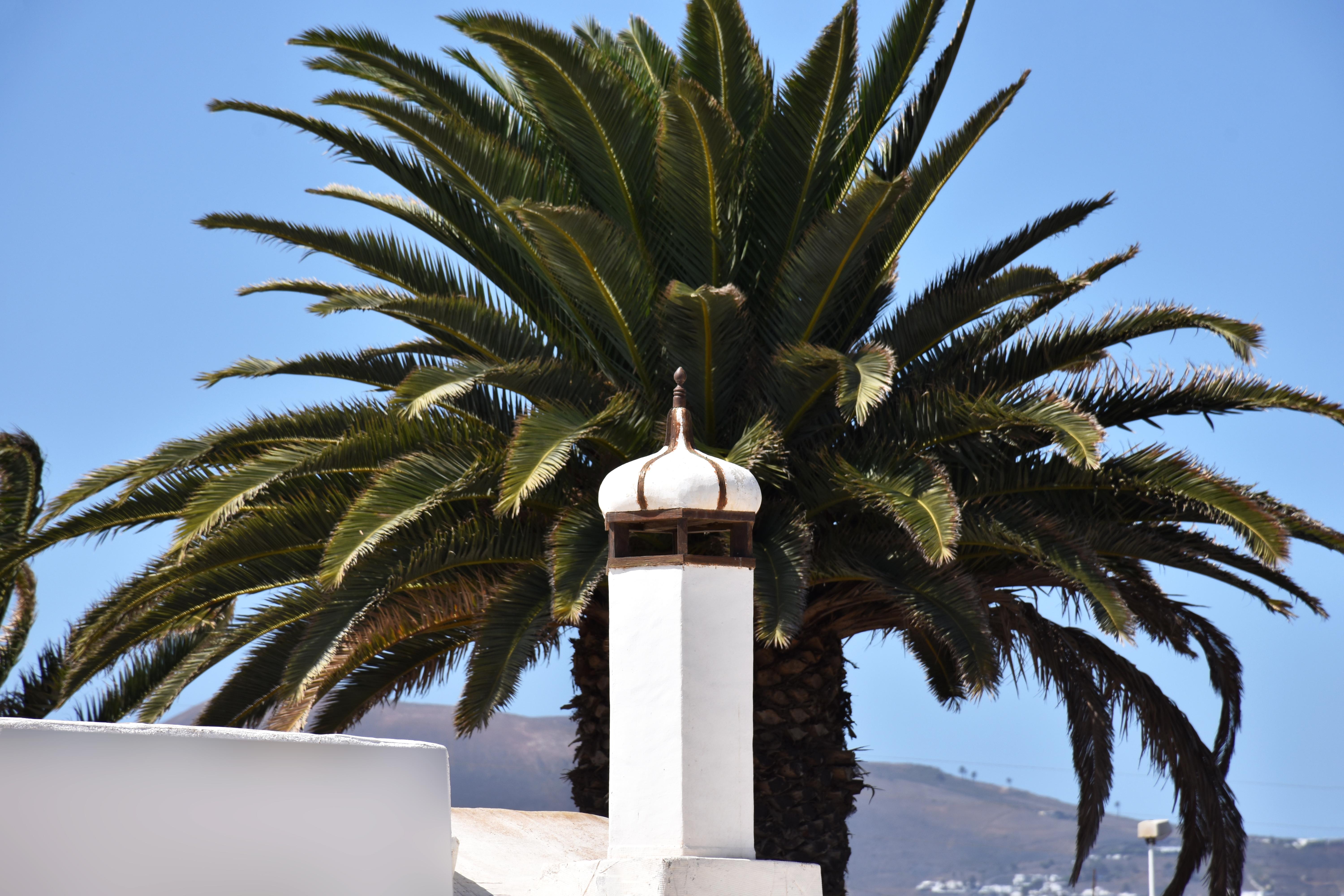 Apartamentos Tisalaya Puerto del Carmen Kültér fotó